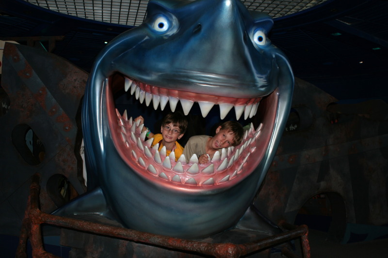 2009/10(October)/Disney-Cruise/167CANON/800x600_IMG_6763.JPG