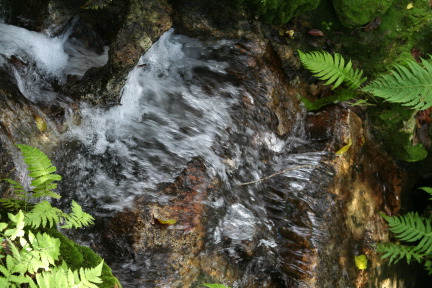 IMG_6721.JPG