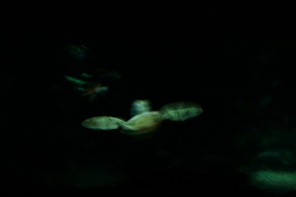 IMG_6757.JPG