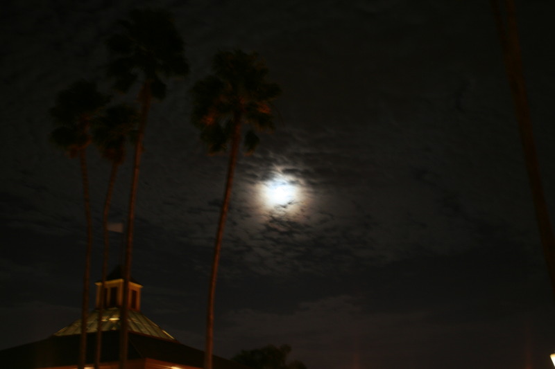 2009/10(October)/Disney-Cruise/168CANON/800x600_IMG_6887.JPG