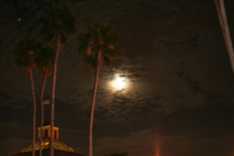 2009/10(October)/Disney-Cruise/168CANON/800x600_IMG_6888.JPG