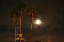 IMG_6889.JPG