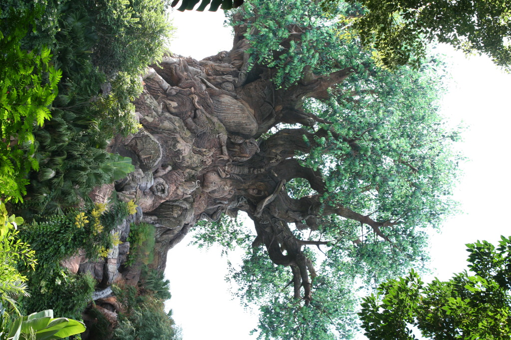 2009/10(October)/Disney-Cruise/170CANON/1024x768_IMG_7005.JPG