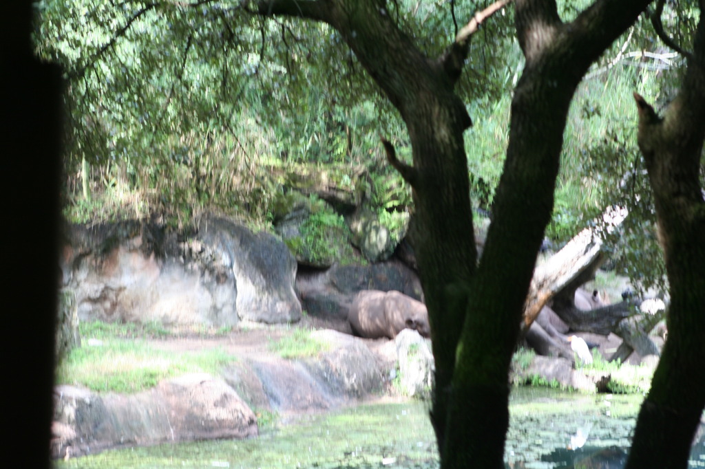 2009/10(October)/Disney-Cruise/170CANON/1024x768_IMG_7012.JPG