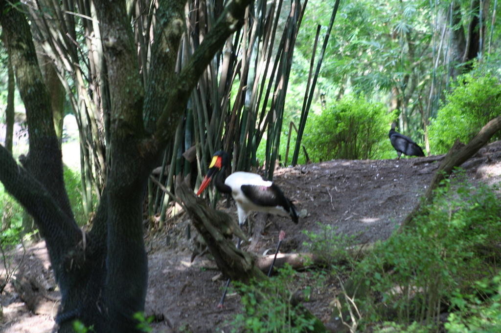2009/10(October)/Disney-Cruise/170CANON/1024x768_IMG_7015.JPG