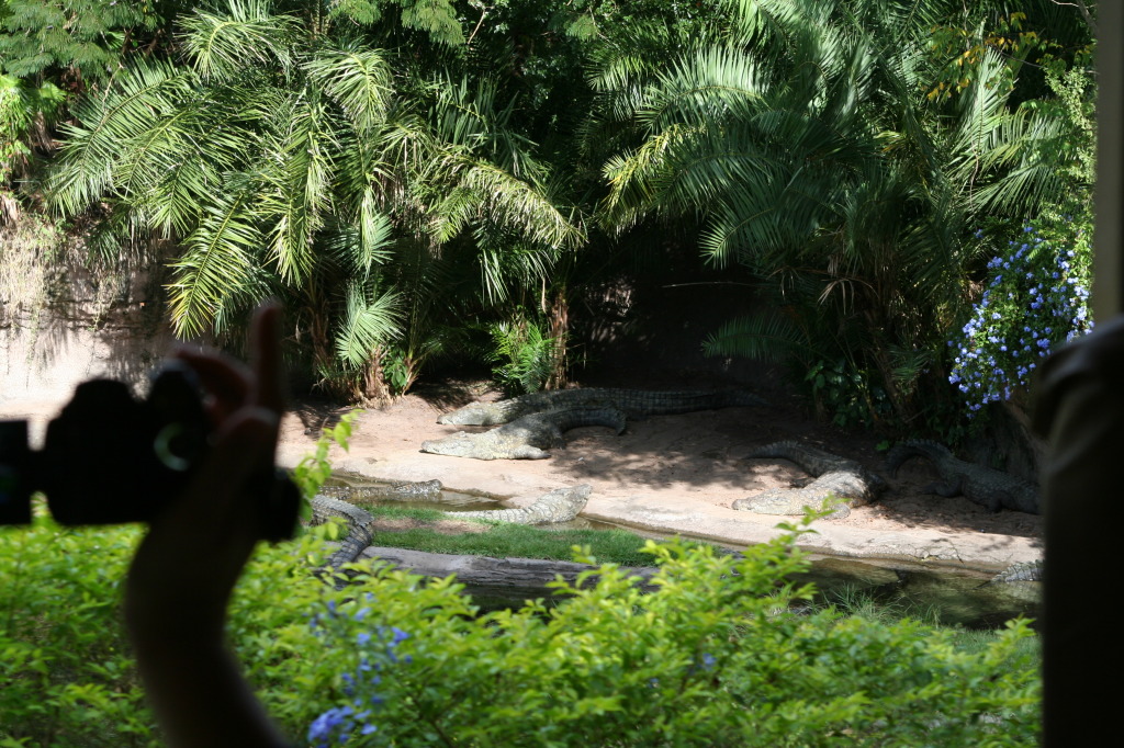 2009/10(October)/Disney-Cruise/170CANON/1024x768_IMG_7033.JPG