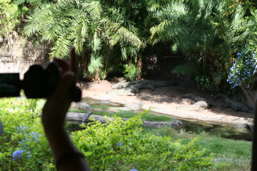 2009/10(October)/Disney-Cruise/170CANON/1024x768_IMG_7034.JPG