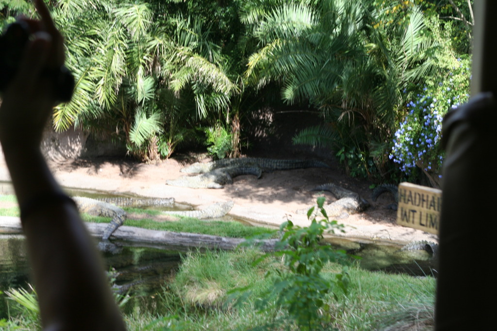 2009/10(October)/Disney-Cruise/170CANON/1024x768_IMG_7035.JPG