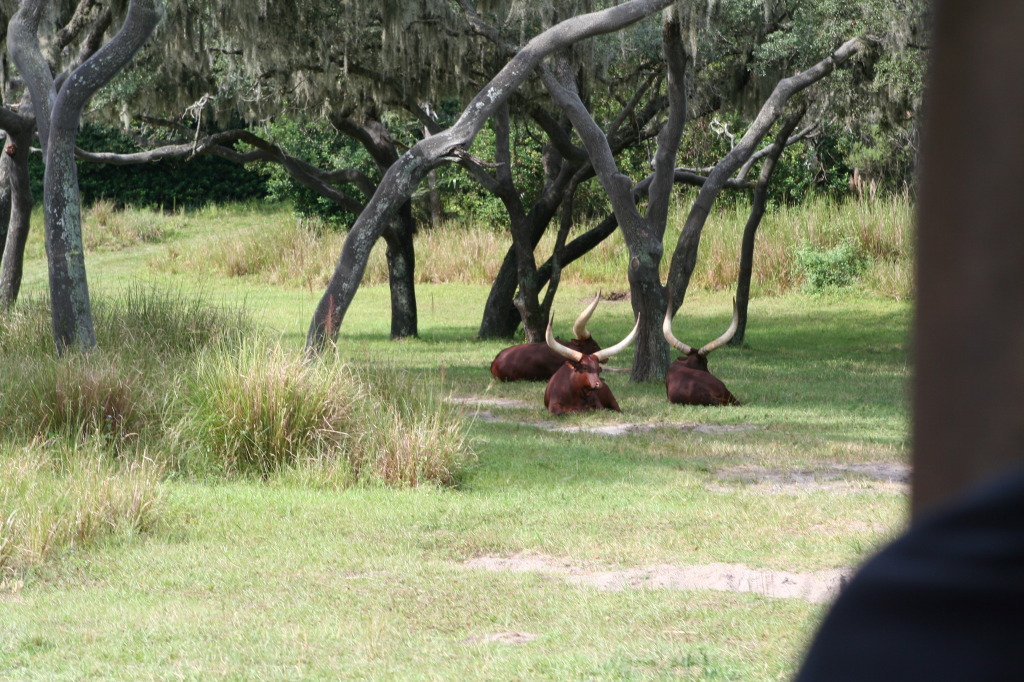 2009/10(October)/Disney-Cruise/170CANON/1024x768_IMG_7051.JPG