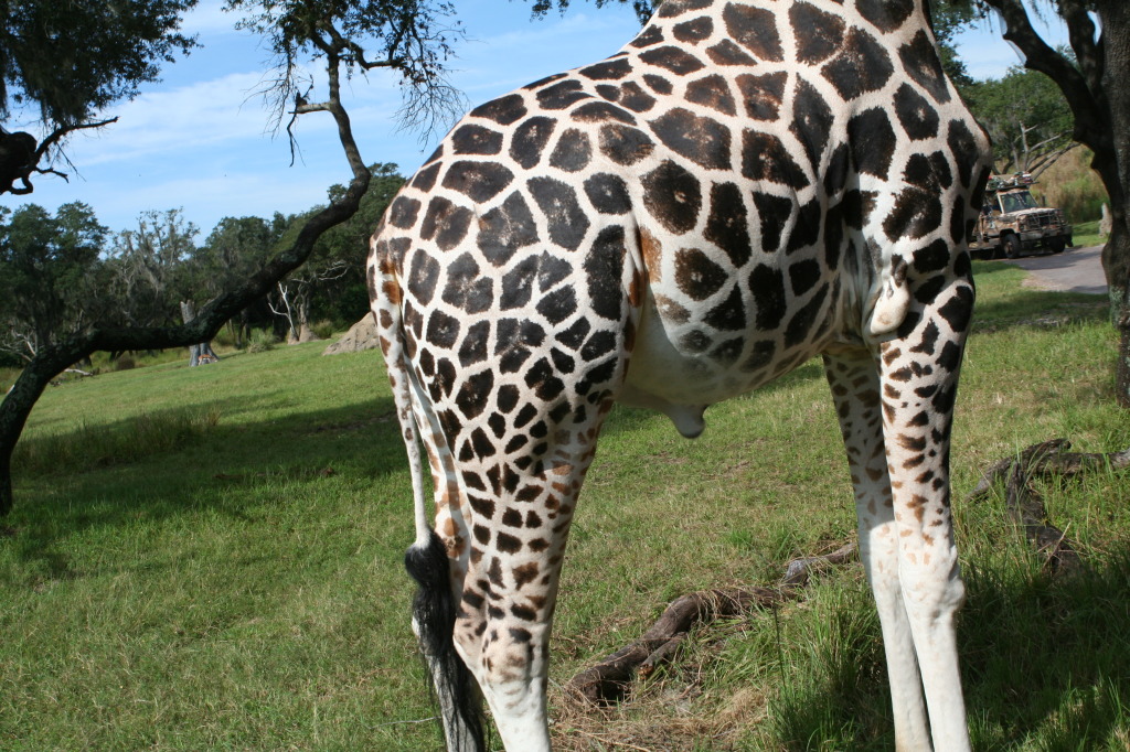 2009/10(October)/Disney-Cruise/170CANON/1024x768_IMG_7076.JPG