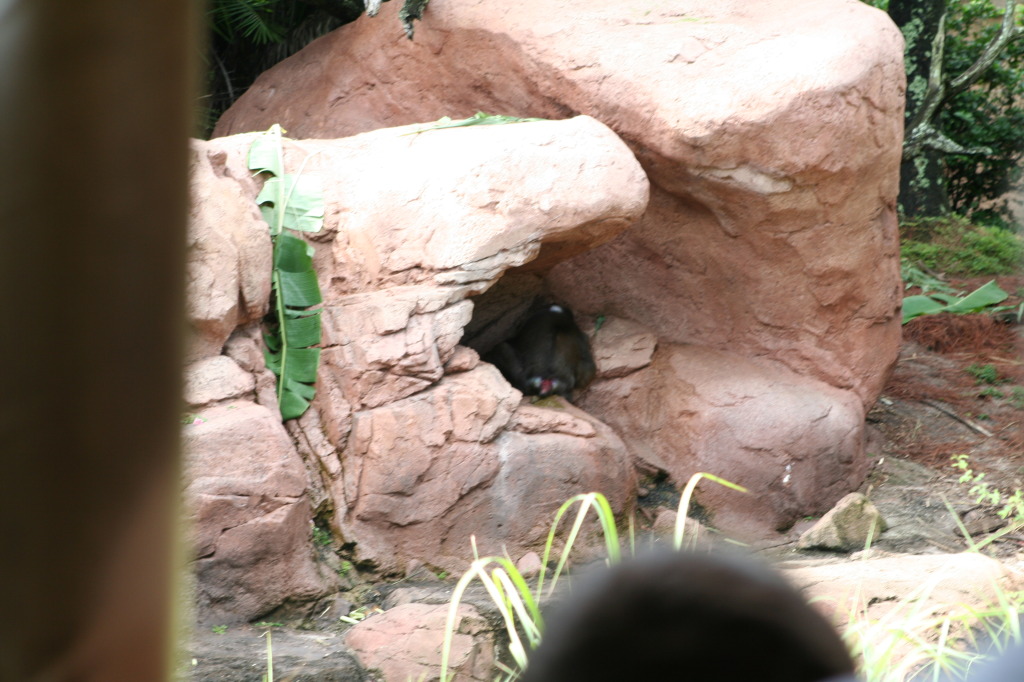 2009/10(October)/Disney-Cruise/170CANON/1024x768_IMG_7088.JPG