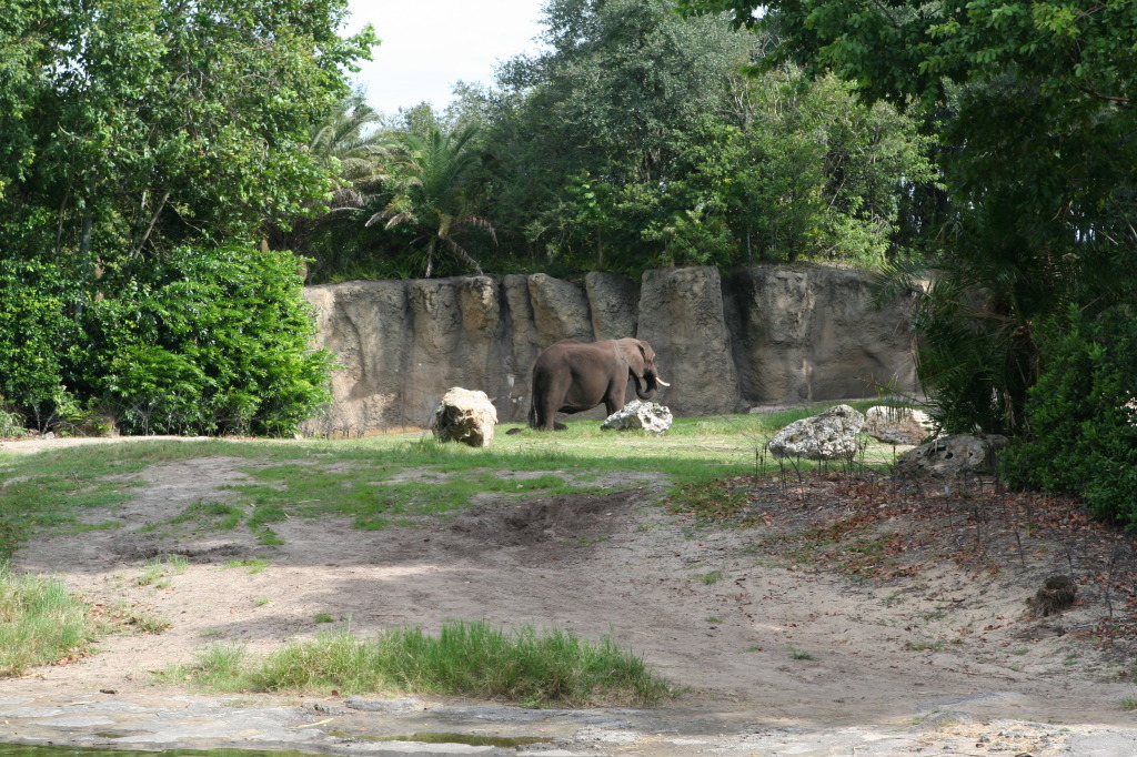 2009/10(October)/Disney-Cruise/170CANON/1024x768_IMG_7091.JPG