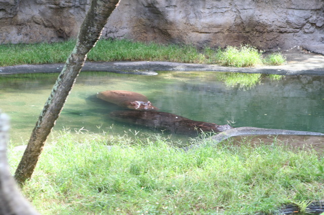 2009/10(October)/Disney-Cruise/170CANON/640x480_IMG_7024.JPG