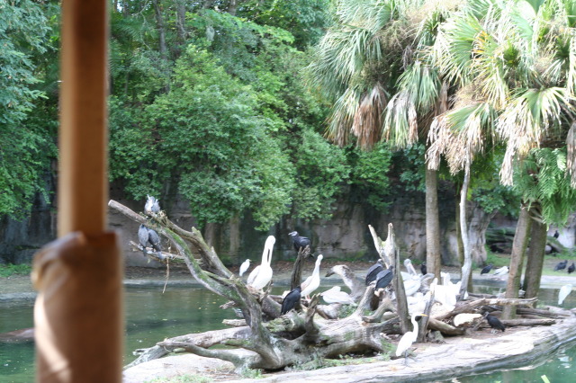 2009/10(October)/Disney-Cruise/170CANON/640x480_IMG_7028.JPG