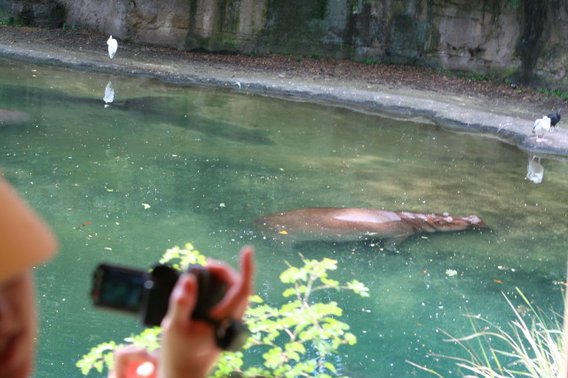 2009/10(October)/Disney-Cruise/170CANON/640x480_IMG_7030.JPG