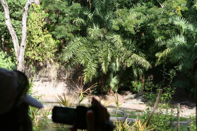 2009/10(October)/Disney-Cruise/170CANON/640x480_IMG_7032.JPG