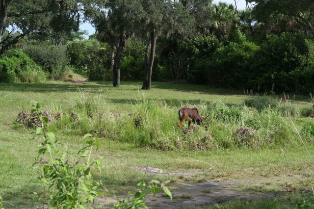 2009/10(October)/Disney-Cruise/170CANON/640x480_IMG_7044.JPG
