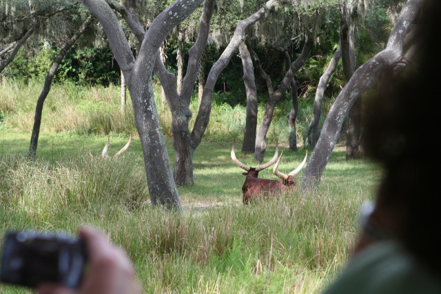 2009/10(October)/Disney-Cruise/170CANON/640x480_IMG_7049.JPG