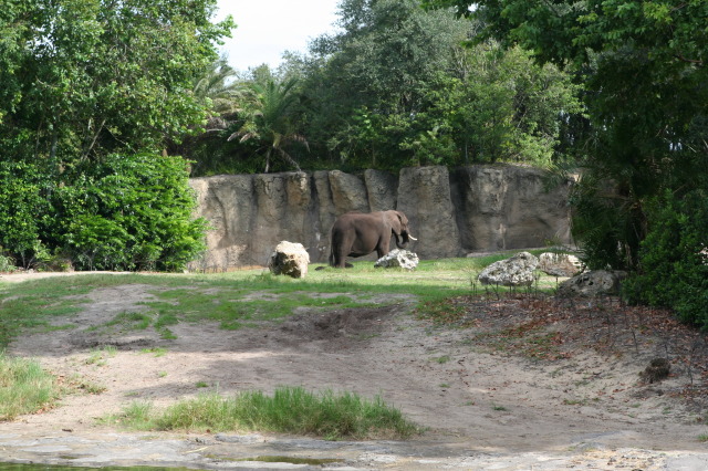2009/10(October)/Disney-Cruise/170CANON/640x480_IMG_7091.JPG