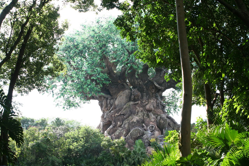2009/10(October)/Disney-Cruise/170CANON/800x600_IMG_7006.JPG