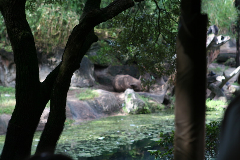 2009/10(October)/Disney-Cruise/170CANON/800x600_IMG_7013.JPG