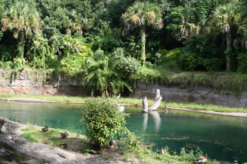 2009/10(October)/Disney-Cruise/170CANON/800x600_IMG_7026.JPG