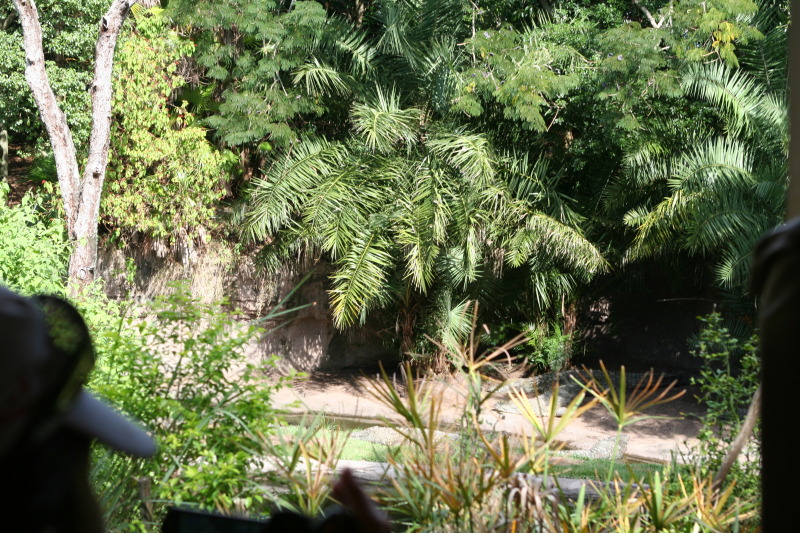 2009/10(October)/Disney-Cruise/170CANON/800x600_IMG_7031.JPG