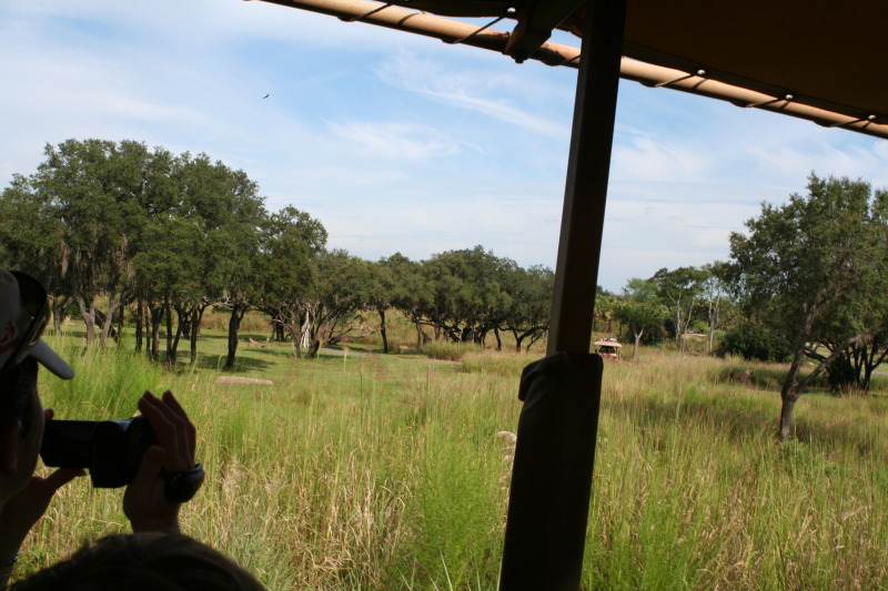 2009/10(October)/Disney-Cruise/170CANON/800x600_IMG_7041.JPG