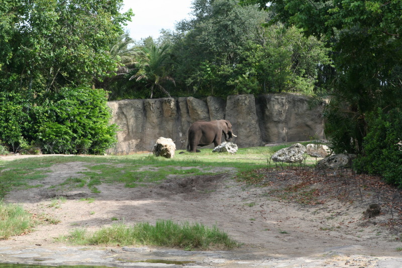 2009/10(October)/Disney-Cruise/170CANON/800x600_IMG_7091.JPG