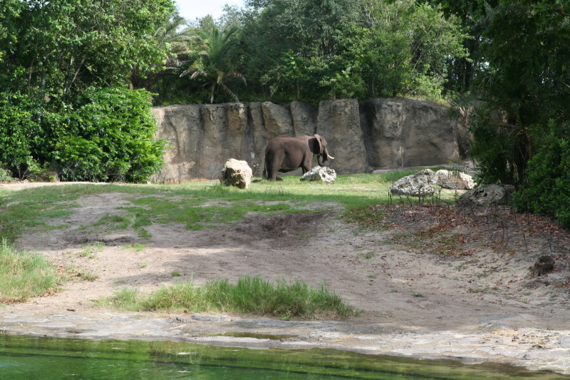 2009/10(October)/Disney-Cruise/170CANON/800x600_IMG_7092.JPG