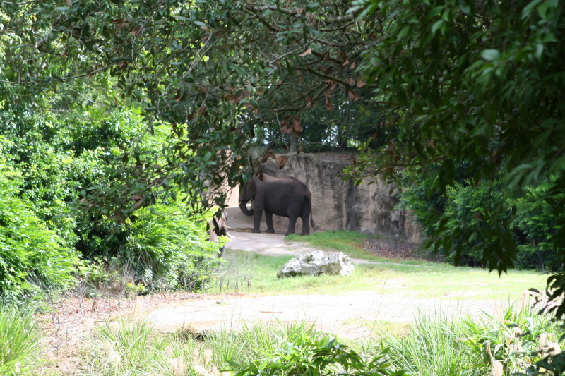 2009/10(October)/Disney-Cruise/170CANON/800x600_IMG_7093.JPG