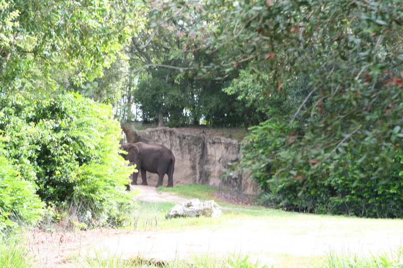 2009/10(October)/Disney-Cruise/170CANON/800x600_IMG_7095.JPG