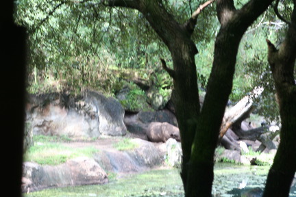 IMG_7012.JPG