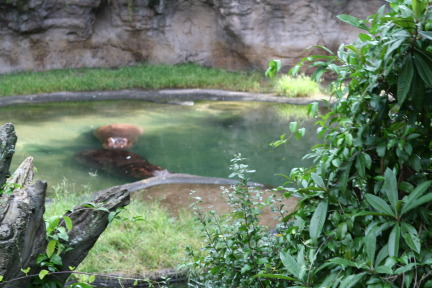 IMG_7021.JPG