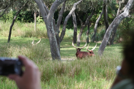 IMG_7048.JPG