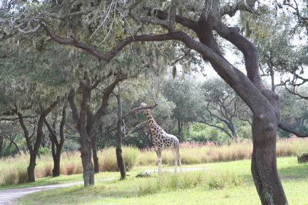 IMG_7056.JPG