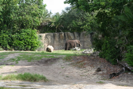 IMG_7089.JPG