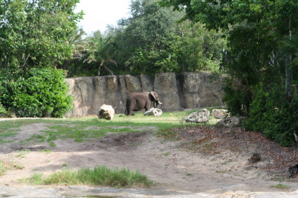 IMG_7090.JPG