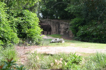 IMG_7096.JPG