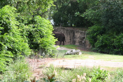 IMG_7097.JPG