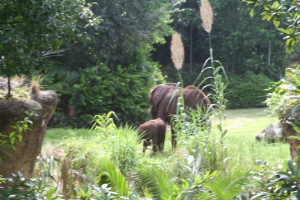 IMG_7099.JPG