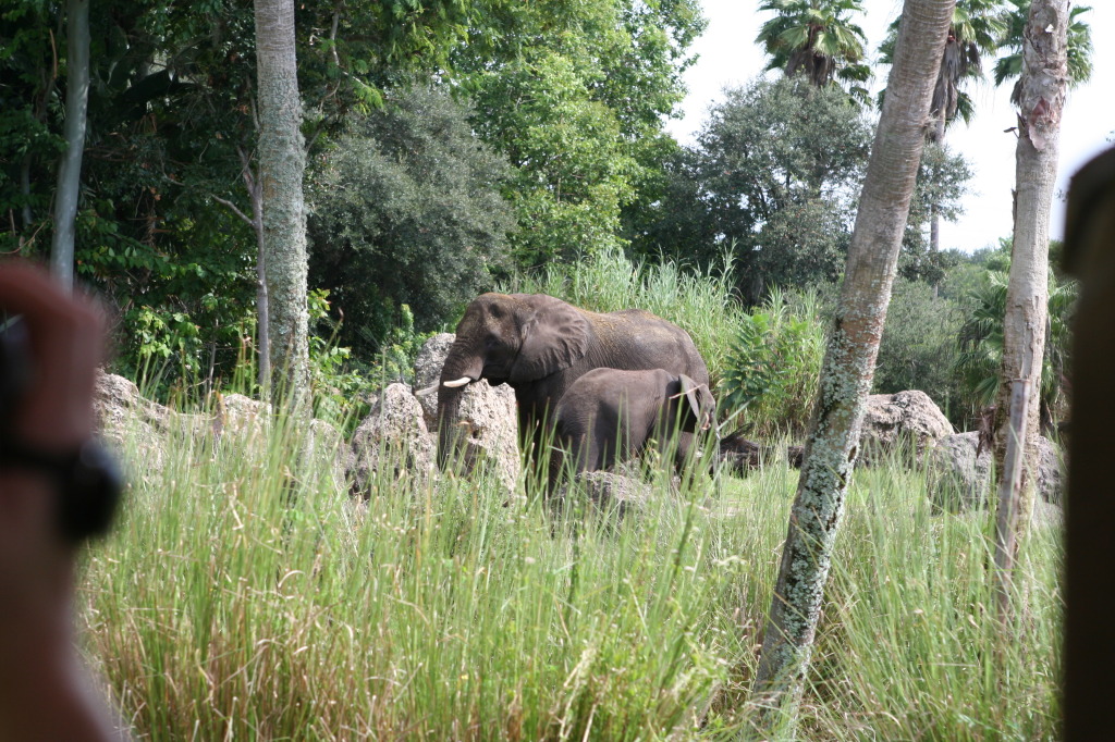 2009/10(October)/Disney-Cruise/171CANON/1024x768_IMG_7112.JPG