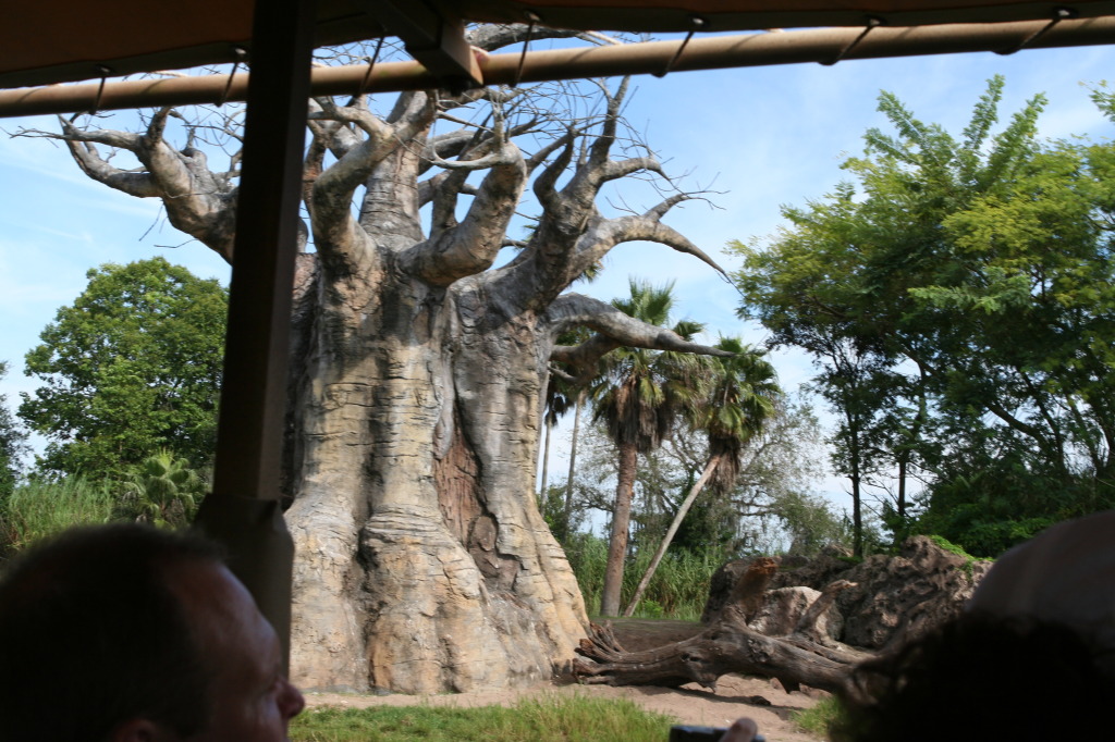 2009/10(October)/Disney-Cruise/171CANON/1024x768_IMG_7121.JPG
