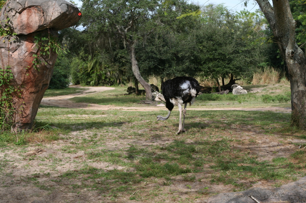 2009/10(October)/Disney-Cruise/171CANON/1024x768_IMG_7158.JPG