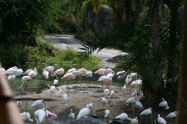 2009/10(October)/Disney-Cruise/171CANON/640x480_IMG_7128.JPG