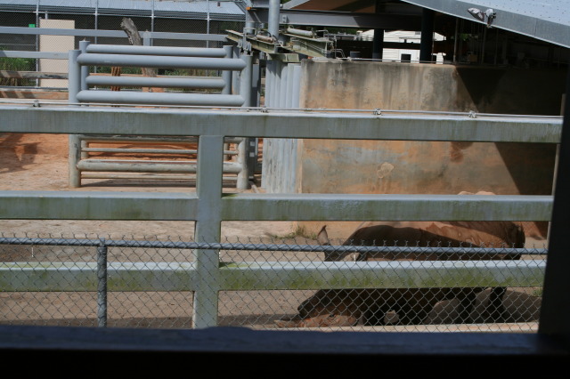 2009/10(October)/Disney-Cruise/171CANON/640x480_IMG_7172.JPG