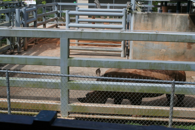 2009/10(October)/Disney-Cruise/171CANON/640x480_IMG_7173.JPG