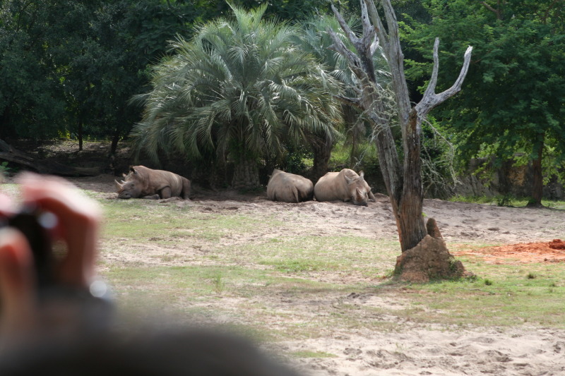 2009/10(October)/Disney-Cruise/171CANON/800x600_IMG_7133.JPG