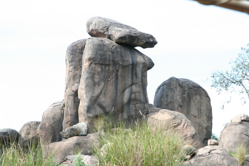 2009/10(October)/Disney-Cruise/171CANON/800x600_IMG_7147.JPG