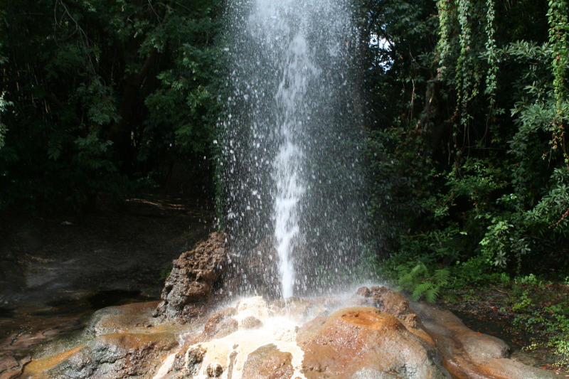 2009/10(October)/Disney-Cruise/171CANON/800x600_IMG_7165.JPG